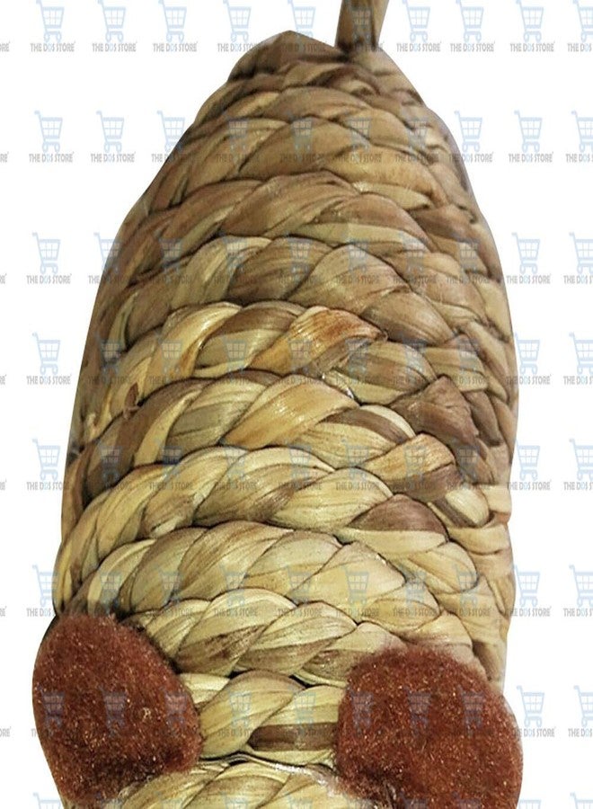 THE DDS STORE Rope Braided Mouse Pet Cat Scratch Chew Toy Teaser Supplies - Image 3